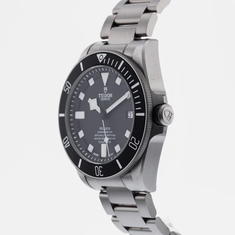Tudor Pelagos 25600TN 2