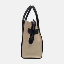 Celine Luggage Handbags 3